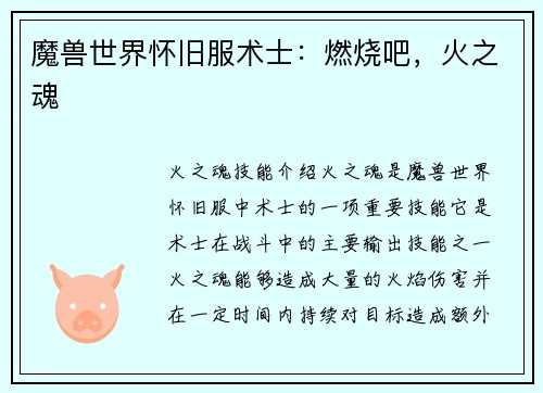 魔兽世界怀旧服术士：燃烧吧，火之魂